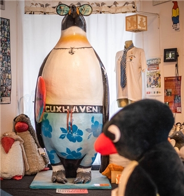 Verschiedene Pinguin-Sammlerstücke und -Figuren aus dem Pinguin-Museum Cuxhaven