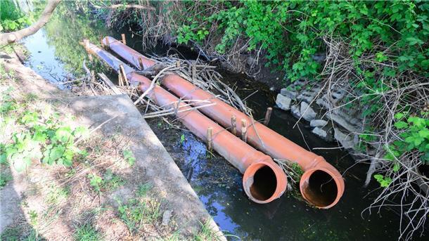Rückkehr des Bibers bereitet Landwirten Probleme Rohre als Drainage liegen in einem Biberdamm in einem Wasserlauf in der Region Hannover.