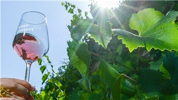 Rosé-Wein wird gerne getrunken.