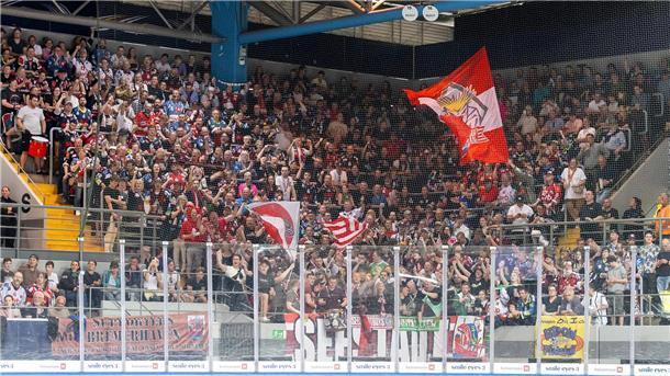 Sieg in München - die Pinguins stoßen die Tür zum Playoff-Finale auf Rund 400 Fans reisten am Sonntag mit nach München und unterstützten die Pinguins lautstark in der Olympia-Eishalle.