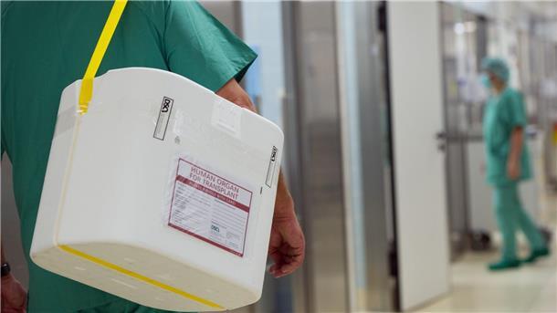 Neue Initiative für Organspende-Reform im Bundestag Rund 8400 Menschen stehen auf Wartelisten für eine Organspende.