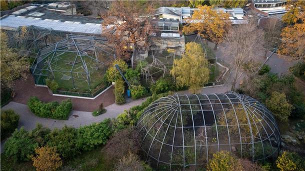 Rund fünf Wochen muss(te) der Berliner Zoo wegen eines Vogelgrippe-Falles schließen; an Heiligabend darf er - unter Auflagen - wieder öffnen.