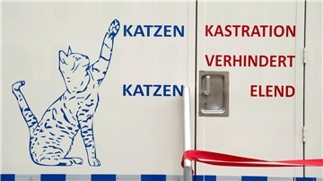 Rund zwei Millionen verwilderte Katzen soll es in Deutschland geben. Auch in der Samtgemeinde Tarmstedt leben viele Streuner und leiden an Hunger und Krankheit. Tierschützer fordern deshalb die Kastrationspflicht für frei laufende Katzen.