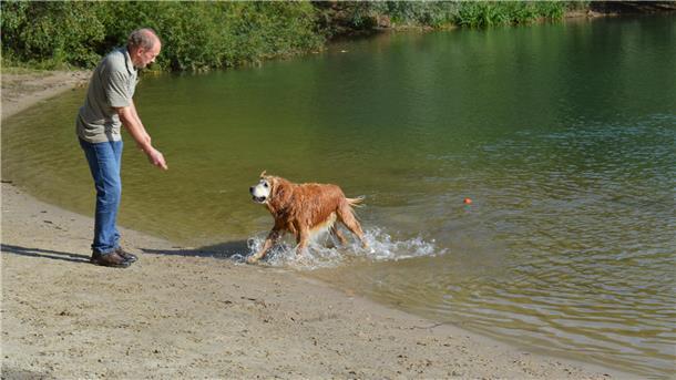 Hund am See