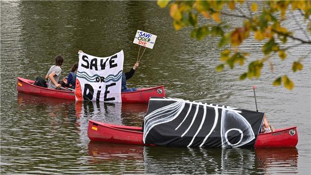 Umweltschützer protestieren mit Kanus gegen Oder-Ausbau Save or Die: Jüngst war es in der Oder zu einem massenhaften Fischsterben kommen - die Umweltkatastrophe hatte zu Unstimmigkeiten zwischen Deutschland und Polen geführt.