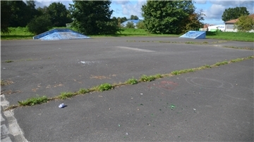 Unkraut bricht durch den Asphalt.