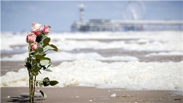 Scheveningen: Rosen stecken im Sand am Strand von Scheveningen. Das im Text beschriebene Bild steht aus rechltichen Gründen leider nicht zur Verfügung.