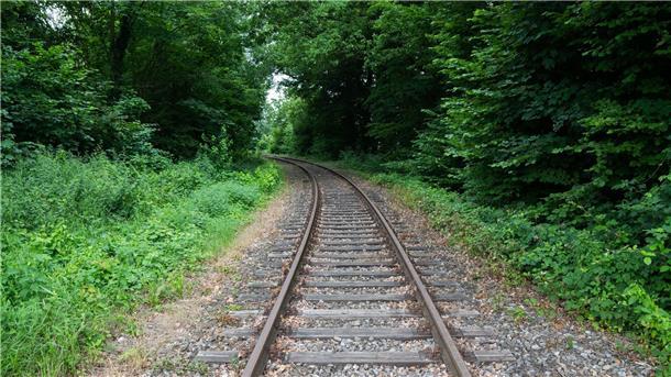 Stillgelegte Bahnstrecken könnten wieder in Betrieb gehen Schienen verlaufen auf der alten Bahnstrecke Rinteln - Stadthagen am alten Bahnhof Nienstädt im Landkreis Schaumburg.