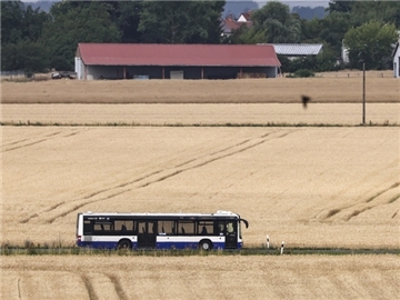 Ein Bus fährt zwischen zwei Getreidefeldern.