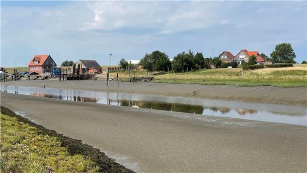 Warum Butjadingen keinen Museumshafen will Schlick in der Hafenzufahrt: Wer hier ein- oder auslaufen will, muss ein immer kleiner werdendes Zeitfenster nutzen.