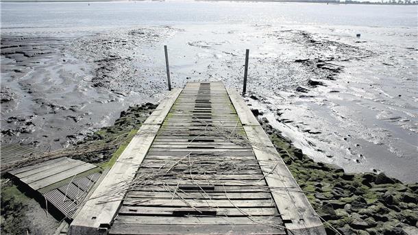 Fischer aus der Wesermarsch lehnen die Weservertiefung ab Schlick statt Wasser. Auch der Butjadinger Fischereiverein lehnt die geplante Weservertiefung ab.
