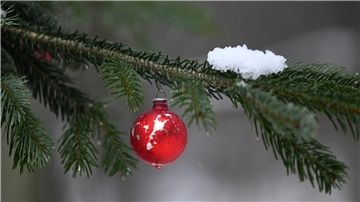 Ein geschmückter Weihnachtsbaum im Wald mit etwas Schnee. 