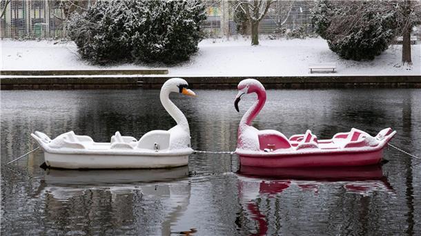 Schneebedeckt: Zwei Tretboote in Form eines Schwans und eines Flamingos auf der Havel in Potsdam.