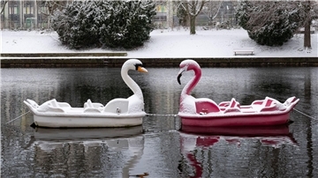Schneebedeckt: Zwei Tretboote in Form eines Schwans und eines Flamingos auf der Havel in Potsdam.