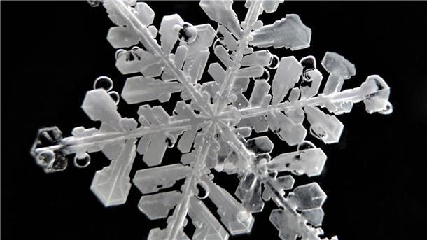 Schneeflocken haben sehr feine Strukturen.