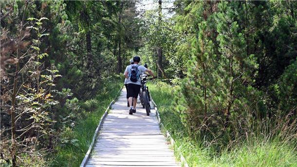 Schön draußen: Fahrradfahrer gehen auf einem Holzsteg durch das Naturschutzgebiet Kaltenbronn mit seinem Moor.