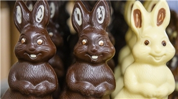 Schokoladenhasen aus dunkler und heller Schokolade im Schokoladenland der Confiserie Felicitas.