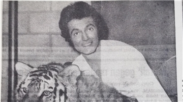 Schon 1970 arbeitete Roy mit Tigern. Die Kreiszeitung berichtete stolz von den Erfolgen des damals 25-jährigen Magiers.