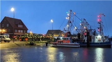 Traktoren und Kutter in einem Hafen