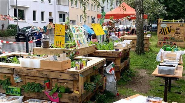 Schülerinnen und Schüler führen die nachhaltigen Projekte selbstständig durch. (Archivbild)