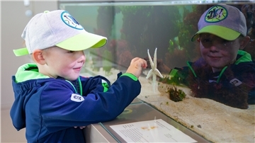 Seesterne (fast) zum Anfassen: Fiete (3) aus Warstein ist begeistert vom Nordseeaquarium im Nationalpark-Haus Wurster Nordseeküste in Dorum-Neufeld. Nicht nur das Haus, sondern auch das Watt‘n Bad wurden nun ausgezeichnet.