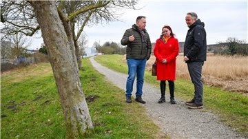 Bäume auf Geestedeich