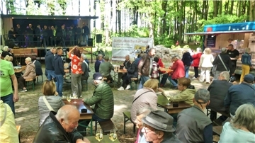 Menschen sitzen und stehen bei sonnigem Wetter im Park Friedrichsruh auf Bierbänken vor einer Bühne, auf der der Shantychor „Jungs vom Nordseedeich“ auftritt; im Hintergrund ein Imbisswagen und Waldkulisse.