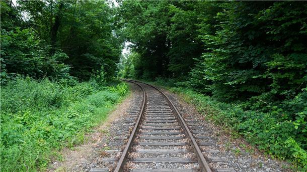 Bahnstrecken reaktivieren - warum dauert es so lange? Seit 1994 wurden der Allianz pro Schiene zufolge in Deutschland insgesamt rund 1300 Kilometer Gleise reaktiviert - sowohl Güter- als auch Personenverkehrsstrecken; seit der Bundestagswahl im Herbst 2021 allerdings „kein einziger Kilometer“ mehr.