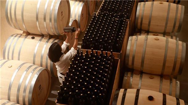 Seit Anfang 2023 wurden mehr als 105 Millionen Euro an EU-Geldern für die sogenannte Krisendestillation von europäischem Wein gezahlt.