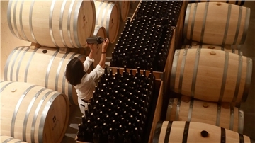 Seit Anfang 2023 wurden mehr als 105 Millionen Euro an EU-Geldern für die sogenannte Krisendestillation von europäischem Wein gezahlt.