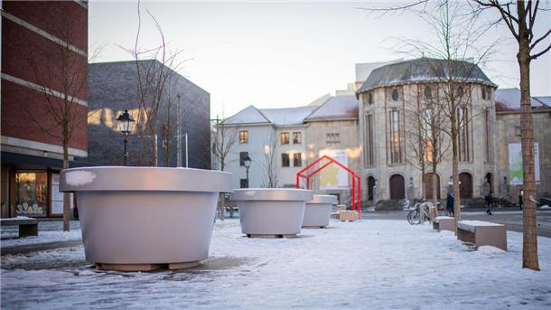 Seit Dezember 2023 zieren diese XXL-Pflanzkübel aus Plastik den Theodor-Heuss-Platz - die grauen Riesenpötte am Tor zur City ernten viel Kopfschütteln und sind vielen ein Dorn im Auge. Sie haben alles in allem 48.000 Euro gekostet und werden auf Veranlassung der Stadt demnächst mitten auf den Theaterplatz verpflanzt. 
