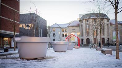 Seit Dezember 2023 zieren diese XXL-Pflanzkübel aus Plastik den Theodor-Heuss-Platz - die grauen Riesenpötte am Tor zur City ernten viel Kopfschütteln und sind vielen ein Dorn im Auge. Sie haben alles in allem 48.000 Euro gekostet und werden auf Veranlassung der Stadt demnächst mitten auf den Theaterplatz verpflanzt. 
