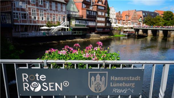 Lüneburg profitiert seit fast 20 Jahren von „Roten Rosen“ Seit diesem Sommer gibt es sogar einen offiziellen Fotopoint auf der Brausebrücke mit Blick auf die Ilmenau und dem mondänen Hotel Bergström (in der Serie Drei Könige) an der Seite.