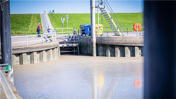 Seit Monaten ist die Automatik des Siels im Wremer Hafen defekt. Deshalb wird der Bereich nicht mehr richtig gespült.