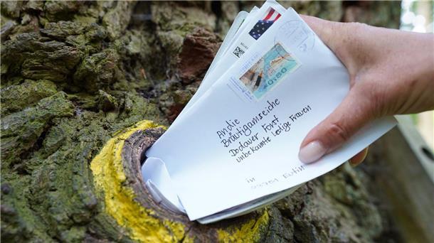 Vier Frankfurter Wolkenkratzer haben eigene Postleitzahl Seit rund 100 Jahren dient ein Astloch im hohlen Stamm der „Bräutigamseiche“ als Kontaktbörse für einsame Herzen aus aller Welt. Der Baum hat sogar eine eigene Postleitzahl.