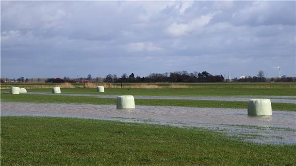 Seit vier Wochen regnet es fast jeden Tag. Das Wasser staut sich auf manchen Wiesen und Weiden.