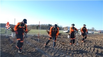 Seite an Seite voran am frühlingsfrischen Freitag: Das Team der beauftragten Baumschule setzt am Langen Berg die ersten Bäume.
