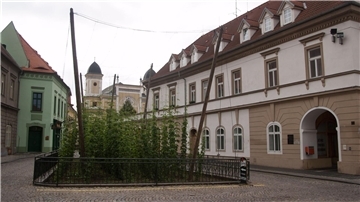 Selbst mitten in Zatec wächst ein kleines Hopfenfeld (Archivbild).