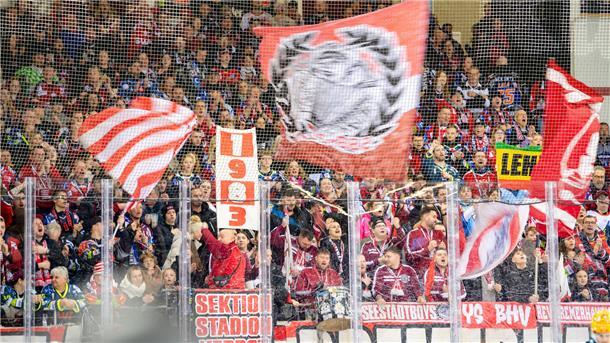 Ein Blick in die Fankurve der Fischtown Pinguins aus Bremerhaven. Die Fans unterstützen die Pinguins heute auch auswärts in Köln.