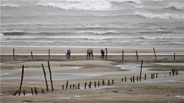 Peking warnt wegen „Doksuri“ vor schweren Regenfällen Sicherheit geht vor: Fischer beenden ihre Arbeit am Strand in Fuzhou.