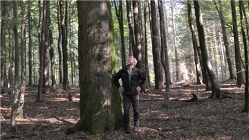 Siegfried Rakowitz im Ruhestand – „Ich bin nicht der Typ, der zurückblickt“ Ein Mann steht vor einem dicken Baum.