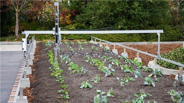 So ein Farmbot soll im Sommer auch in der Waldschule Hagen errichtet werden. Der Roboter wurde von Studenten aus Kalifornien entwickelt. 