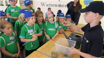 Kids Watt Academy