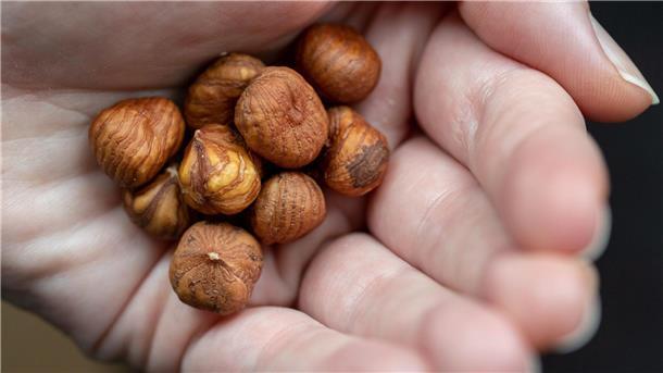So gesund: Haselnüsse gibts natürlich auch im Herbst. (Archivbild)