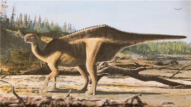 So könnte der neu entdeckte Dinosaurier ausgesehen haben.