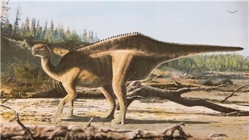 So könnte der neu entdeckte Dinosaurier ausgesehen haben.