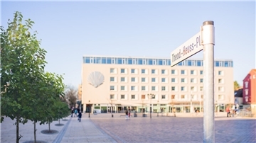 So könnte eine Baumreihe an der Westseite auf dem Theodor-Heuss-Platz aussehen. Foto: Hartmann