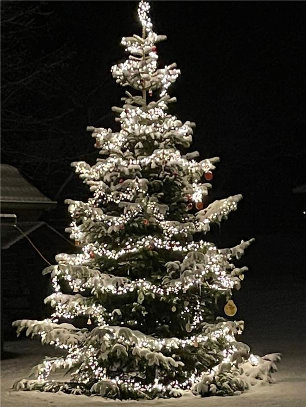 So schön ist, der Weihnachtsbaum in Glinstedt. Auf jeden Fall ein Hingucker, vor allem im Schnee.
