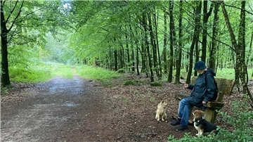 So schön ist’s im Ummelwald.