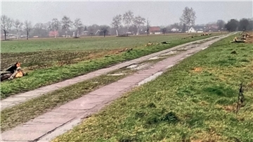 Das Foto zeigt den abgeholzten Fuhrenkamp in Sittensen. 
